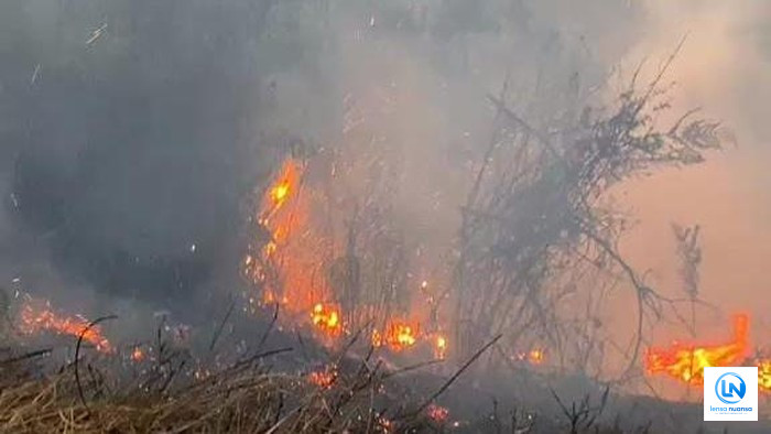 BB TNBTS Tutup Sementara Sebagian Kawasan Wisata Gunung Bromo Akibat Kebakaran Hutan