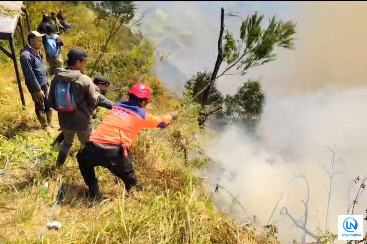 Kebakaran di Kawasan Gunung Bromo Meluas, BNPB Siapkan Dua Helikopter Pemadaman