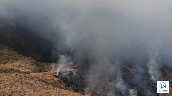 Karhutla Kaldera Bromo Meluas, 120 Hektare Kawasan TNBTS Terdampak dan Pemadaman Gunakan Helikopter Water Bombing