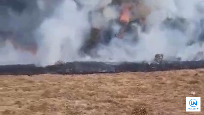 Kebakaran Melanda Alun-Alun Suryakencana Gunung Gede, Relawan Berjuang Padamkan Api di Tengah Angin Kencang