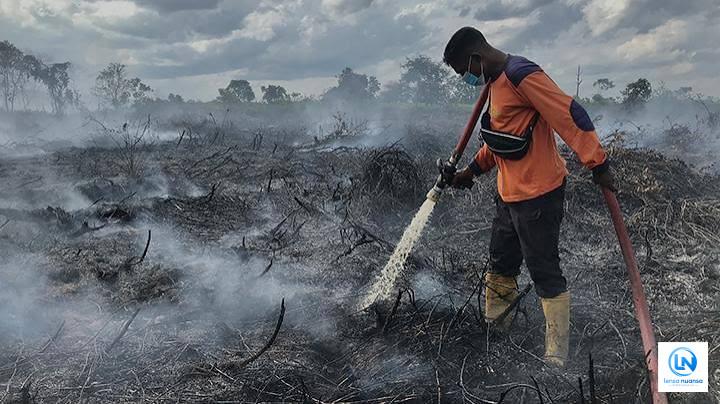 Karhutla Meluas, Kabut Asap Mulai Selimuti Sejumlah Daerah di Tengah Ancaman El Nino Super