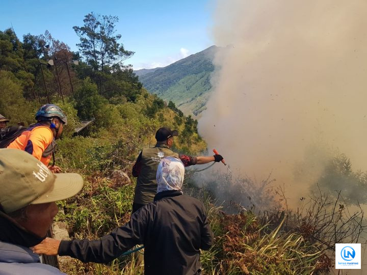 Medan Curam Hambat Pemadaman Karhutla di TNBTS, Petugas Berjuang Cegah Api Meluas