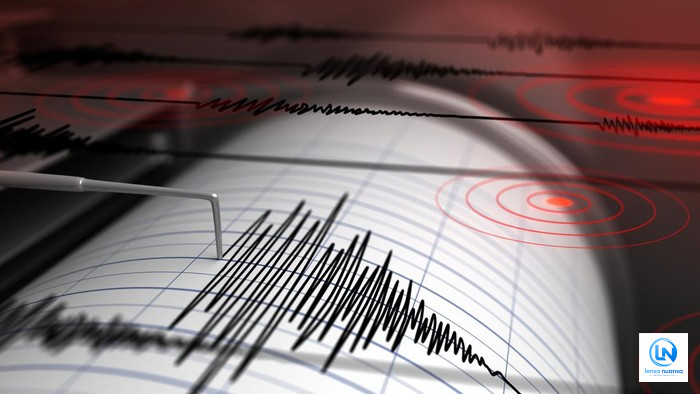 BMKG Prediksi Gempa Susulan di NTT Masih Terjadi hingga 3–4 Pekan, Tercatat 2.119 Getaran