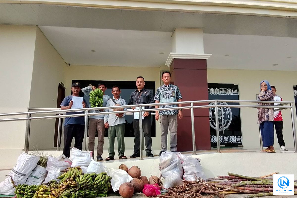 Tak Mampu Bayar Denda Rp 3 Miliar, Tiga Petani Mukomuko Bawa Pisang, Kelapa, dan Ubi ke Pengadilan