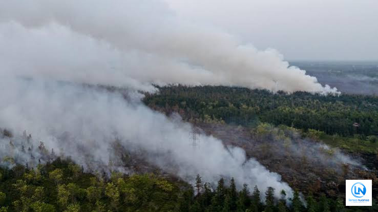 Karhutla Kalimantan Belum Mereda, Ratusan Titik Panas Terdeteksi hingga Asap Capai Malaysia dan Singapura