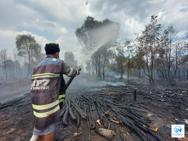Karhutla Kepung Kalimantan, Lebih dari 1.600 Titik Panas Terdeteksi dalam Sehari