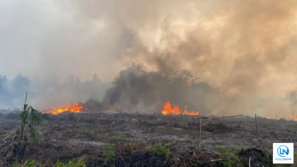 Karhutla Kalimantan Makin Meluas, DPR Desak Pemerintah Ambil Langkah Extraordinary