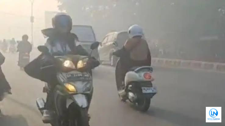 Walhi: 74 Persen Titik Panas di Kalimantan Berada di Area Konsesi Perusahaan