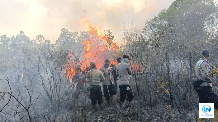 Karhutla di Taman Nasional Way Kambas Meluas, Ratusan Hektare Lahan Terbakar
