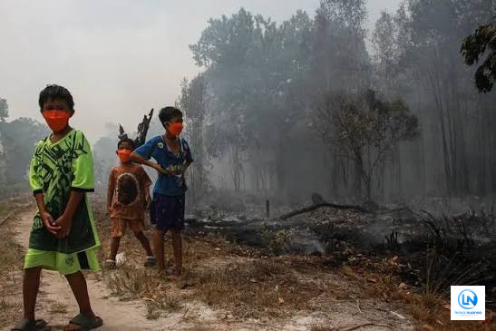 Kabut Asap Lintas Batas Memburuk, 591 Sekolah di Sarawak Malaysia Ditutup