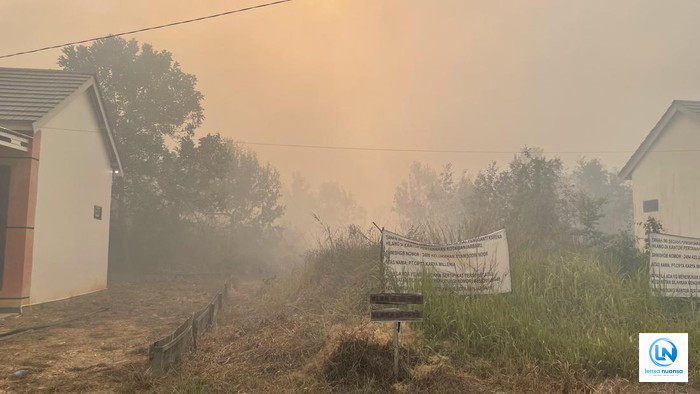 Lebih dari 3 Juta Warga Terpapar Kabut Asap Karhutla, Kasus ISPA Melonjak di Kalimantan