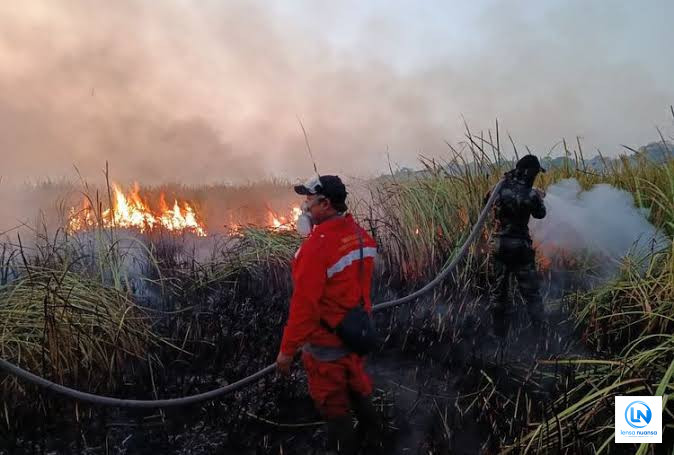 Polri Tetapkan 72 Tersangka Karhutla di Kalimantan dan Sumatra, Diduga Bakar Lahan untuk Sawit