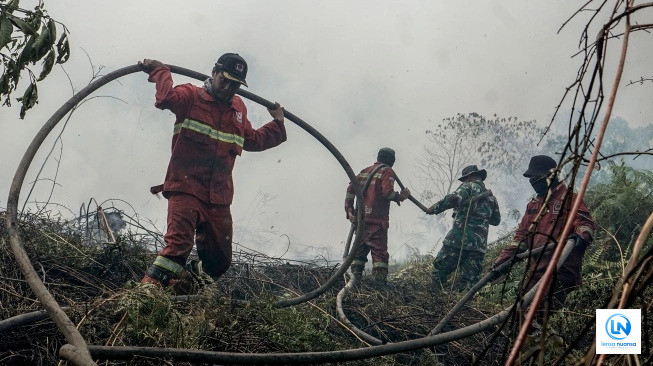 1.104 Hotspot Terdeteksi di Sumatera, Sumsel Terbanyak; Riau Capai 97 Titik