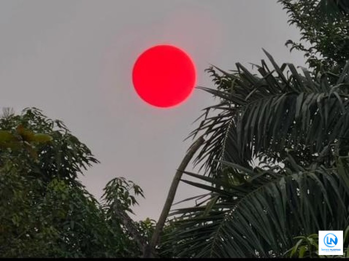 Matahari Memerah di Langit Palangka Raya, BMKG Ungkap Kaitannya dengan Kabut Asap Karhutla
