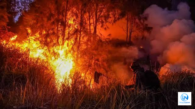 Karhutla Indonesia Makin Mengkhawatirkan, 190.546 Hektar Hutan dan Lahan Terbakar hingga Juni 2026