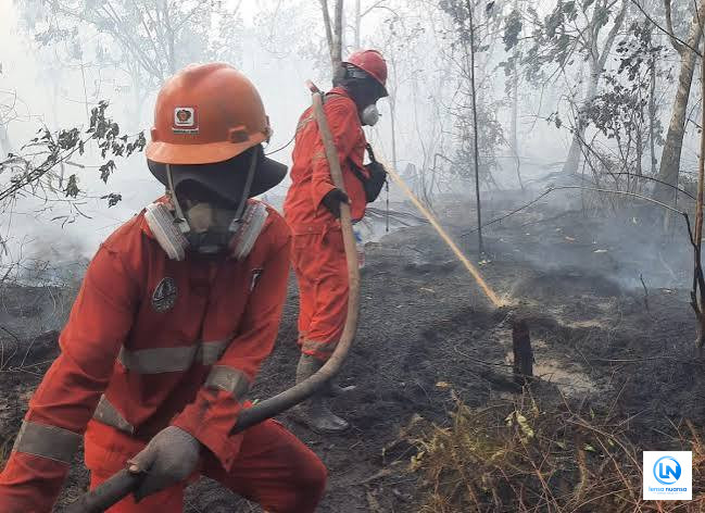 Sumber Air Menyusut, Pemadaman Karhutla di 6 Provinsi Prioritas Hadapi Tantangan Berat