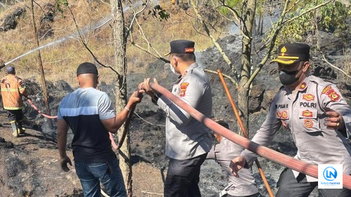 Kebakaran Kembali Landa Gunung Batur, Dua Hektare Kawasan Hutan Hangus dalam Tiga Jam