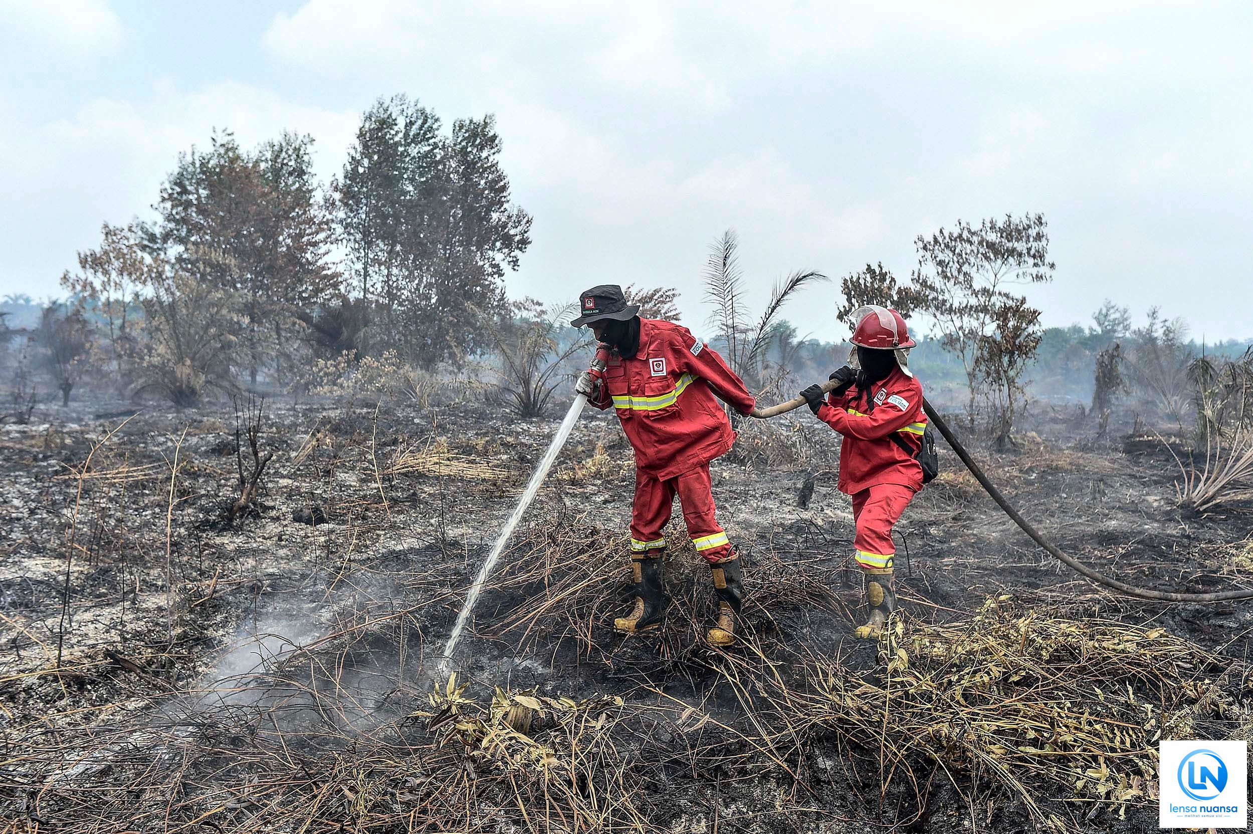 Warga Sumsel Bisa Jadi Pasukan Satgas Karhutla, Dapat Uang Semangat Rp150 Ribu per Hari