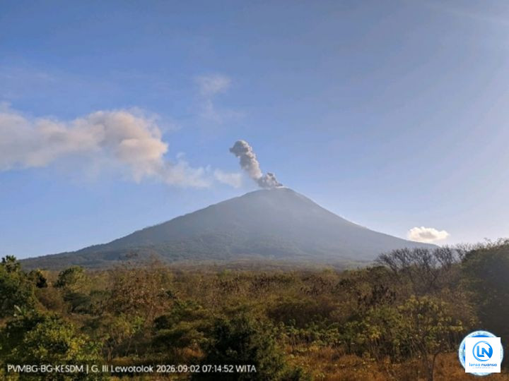 Gunung Ili Lewotolok Kembali Erupsi Dua Kali, Warga Diminta Jauhi Zona Bahaya
