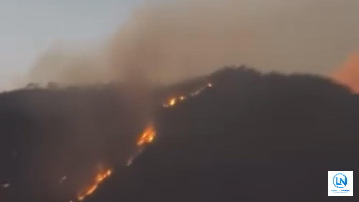 Karhutla Kepung Gunung Merapi Ungup-Ungup, 11 Titik Api Berjarak 1 Km dari Kawasan Ijen