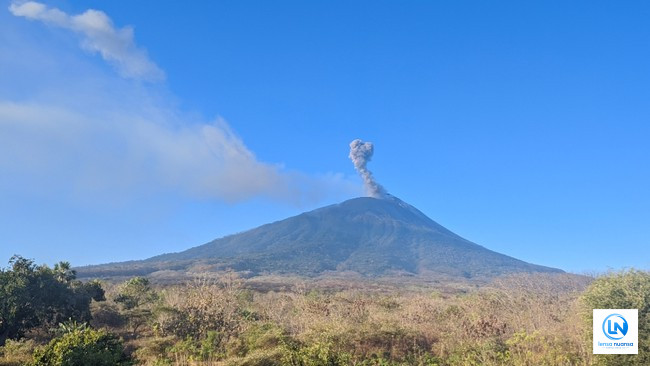 Gunung Ili Lewotolok Kembali Erupsi, Letusan Terkuat Capai 600 Meter di Atas Puncak