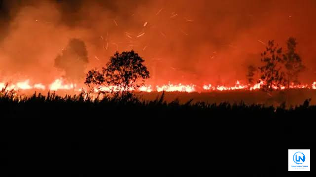Gambut Kalimantan Terbakar, Ribuan Ton Karbon Terancam Lepas ke Atmosfer